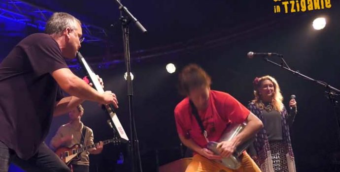 Revivez les concerts en images